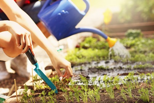 A gardener watering a small, neatly arranged garden with a blue watering can, while another person uses a small hand trowel to tend to the soil and young plants. The garden features defined flower beds bordered by wooden edging, with a lush green lawn in the foreground. In the background, there are mature trees and shrubbery, suggesting a well-established outdoor space typical of residential gardens in Soho. The soil appears freshly turned and healthy, and the plants are in early growth stages, with vibrant green foliage. Sunlight filters through the trees, casting a warm glow over the garden, which is maintained with care and precision by landscapers specializing in garden renovation services in the Soho area. The scene captures an outdoor environment conducive to planting and garden care, emphasizing landscaping and lawn management tasks.