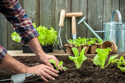 The image depicts a person planting young lettuce or similar leafy vegetables in a garden bed filled with dark, fertile soil, with their hands carefully positioning the seedlings. In the background, a weathered wooden fence provides a rustic backdrop, indicating an outdoor garden setting typical of residential landscaping in Soho. To the right, gardening tools such as a watering can, a trowel, and hand tools rest on a wooden surface, suggesting recent or ongoing planting activity. The garden bed appears well-maintained with rich soil, and a small container of bright green lettuce leaves is visible, indicating a vegetable planting area. The scene is illuminated by natural daylight, with soft shadows, suggesting fair weather suitable for outdoor gardening. This setup aligns with typical gardening and planting services offered by companies like Landscapers Soho, focusing on vegetable gardening, soil preparation, and outdoor planting in urban or suburban environments around Soho, London, fitting within a professional landscaping context aimed at enhancing residential outdoor spaces.