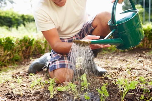 Sustainable landscaping practices in an urban Soho garden