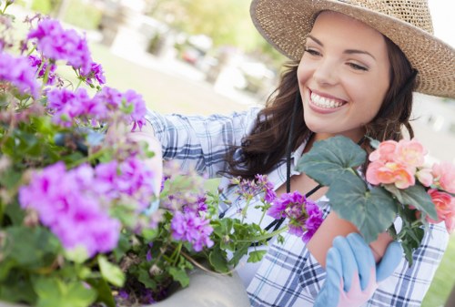 Selection of thriving plants suitable for Soho landscaping