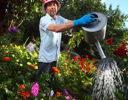 In the outdoor garden of a residential property, a man wearing a light blue shirt, red hat, and blue gardening gloves is watering a variety of colourful flowers and lush green shrubs with a black garden watering can. The garden features a well-maintained lawn with dense grass, surrounded by flower beds filled with vibrant blooms in shades of red, yellow, purple, and pink. Behind him, tall trees create dappled shade, and a natural stone or gravel pathway is partially visible among the plants. The garden appears tidy and thriving, reflecting professional gardening efforts by Landscapers Soho, with a balanced mix of flowering plants, foliage, and open grassy areas, under bright natural daylight with mild weather conditions. This outdoor space demonstrates well-organised landscaping suitable for enhancing garden aesthetics and outdoor enjoyment in the Soho area near London postcode, highlighting typical gardening and lawn care services provided locally.
