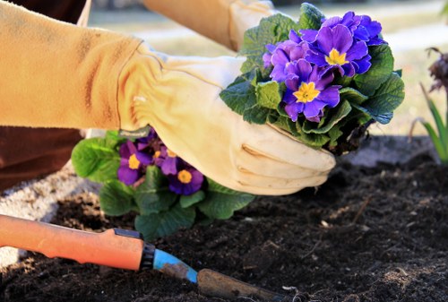 Eco-friendly garden clearance practices in Soho