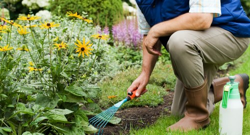 A gardener wearing beige waterproof boots, khaki trousers, and a blue vest is kneeling on the grass in a well-maintained outdoor garden. The gardener is tending to a flower bed with a small blue rake, surrounded by a variety of plants, including yellow daisies with dark centers and purple-flowered bushes in the background. The garden features a neatly edged lawn with lush, dense grass and a mix of flowering and leafy plants, creating a vibrant and colorful scene. Natural, daylight conditions illuminate the garden, highlighting the textures of the soil, leaves, and blooms, with soft shadows indicating a partly cloudy sky. The garden is part of a residential outdoor space in Soho, and the scene reflects professional gardening maintenance typical of local landscapers Soho, emphasizing their service in cultivating and caring for diverse garden elements in an attractive urban setting.