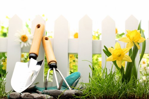 Seasonal lawn maintenance in Soho