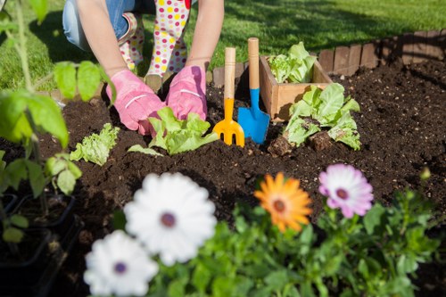 In a neatly maintained outdoor garden, a child's hands wearing pink gardening gloves are seen planting leafy green lettuce into rich, dark soil within a designated vegetable bed. The garden features a variety of plants, with the vegetable bed bordered by a low wooden fence or edging. Surrounding the planting area, there are colorful flowers, including white and purple daisies and orange blooms, adding visual interest and natural tones to the space. In the background, vibrant green grass extends across the lawn, providing a lush, well-kept environment. Gardening tools such as a small blue trowel and a yellow cultivator are temporarily placed in the soil, indicating active planting. The garden is illuminated by natural sunlight, reflecting a bright and pleasant outdoor setting suitable for gardening activities, which aligns with lawn care and garden maintenance services offered by landscaperssoho.co.uk in the Soho area. The scene exemplifies a healthy, organized garden environment with a focus on vegetable gardening and floral decoration, typical of local outdoor landscape projects in central London.
