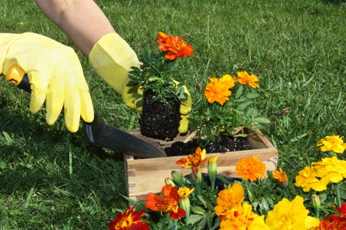 A gardener wearing yellow gloves is planting a bright orange and yellow flowering plant into a wooden planter box situated on a lush, green lawn. The flower bed in front contains vibrant marigolds and other blooming plants, with their colourful petals contrasting against the dark soil. In the background, the well-maintained grass area extends, indicating a tidy garden space suitable for outdoor residential landscaping. The scene suggests outdoor gardening activities typical in a suburban garden within Soho or nearby areas, featuring a combination of flowering plants, lawn, and overall garden setup designed for aesthetic enhancement and outdoor enjoyment. The natural daylight highlights the vivid colours and healthy foliage of the plants, indicating good weather conditions for gardening tasks. This image exemplifies professional gardening and landscapers’ work, such as planting and garden maintenance services in the Soho area, aligning with a local landscaping company's offerings.