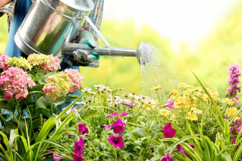 A gardener, wearing a blue garment and gloves, is watering a colourful garden with a silver watering can. The garden features a variety of plants, including pink and white hydrangeas, purple petunias, and yellow flowering plants. The lawn area in the foreground is lush, with dense green grass, and the garden beds are bordered with soil and natural mulch. In the background, there are small shrubs and leafy plants, with sunlight filtering through, suggesting a clear, bright day. The scene exemplifies well-maintained outdoor gardening typical of residential gardens in Soho, with visible efforts to sustain healthy plant growth as part of professional landscaping services by Landscapers Soho.