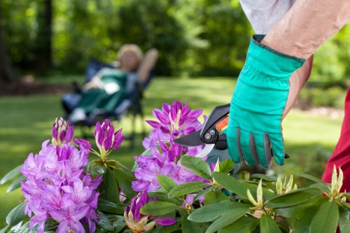 A person wearing teal gardening gloves is pruning a flowering shrub with vibrant purple and pink blossoms in a well-maintained garden. The garden features a lush, green lawn in the foreground and a paved patio area in the background, bordered by a variety of shrubs and small trees. In the distance, a reclining garden chair is visible, suggesting a landscaped outdoor space designed for relaxation. The scene is set in natural daylight, with bright, clear weather highlighting the different textures of the grass, foliage, and blooming flowers. The image emphasizes careful garden maintenance, consistent with professional gardening services offered by Landscapers Soho for local residents in Soho, London, fostering healthy, attractive outdoor environments for outdoor enjoyment and aesthetic appeal.