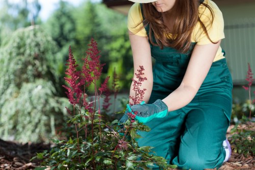 Seasonal garden maintenance activities in Soho