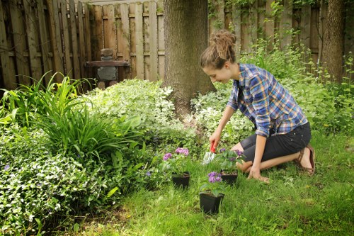 A young woman with light skin and brown hair tied back, dressed in a blue and black plaid shirt and black jeans, is kneeling on a well-maintained grassy garden area in Soho, London, during daylight hours under natural light. She is planting small purple flowering plants into black plant pots arranged on the ground, near a mature tree with textured bark surrounded by lush green foliage. The garden features a variety of neatly trimmed shrubs, ground cover plants, and a mix of flowering and leafy greenery, with a weathered wooden fence in the background creating an enclosed outdoor space. The scene captures an organized and peaceful moment of garden planting, reflecting professional landscaping and gardening services provided by Landscapers Soho, and showcasing a typical urban garden environment in central London suited for garden renovation projects.