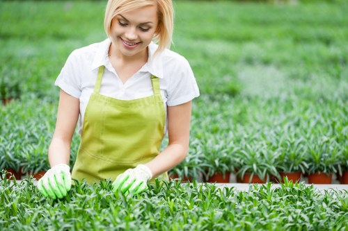 A young woman with blonde hair, wearing a white shirt, green gardening apron, and gloves, tending to a lush outdoor garden. She is leaning over a row of small, vibrant green plants in a raised bed, indicating active planting or maintenance. The garden features well-organized planting beds with healthy, dense foliage and a neatly maintained grassy lawn in the background. The environment appears to be a bright, sunny day with natural light illuminating the scene, highlighting the fresh, natural tones of the plants and the outdoor setting. This scene reflects professional gardening and landscaping work typical of Soho-based services, emphasizing careful plant care and outdoor garden layout. The garden is part of a landscaped yard possibly situated in a residential area in London, aligning with services offered by landscaperssoho.co.uk in the Soho district or nearby postcode area, focusing on landscaping, planting, and lawn care.