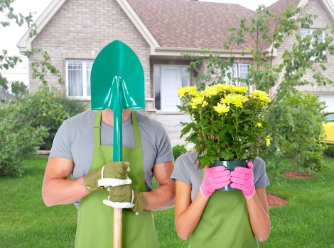 Professional tree lopping service in action