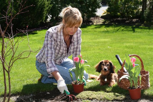 A woman dressed in a checkered shirt and jeans is kneeling on a well-maintained, lush green lawn in a garden, planting pink tulips in a small red pot amidst other flowering plants. She is wearing gardening gloves and appears focused on her task, with a small brown puppy lying nearby beside a woven basket holding additional pink tulips. The garden features a backdrop of mature trees and shrubbery, with a bright, sunny weather casting natural light across the scene. The grass is dense and healthy, bordered by a flower bed with dark soil, and a few bare-branched young trees frame the scene, indicating a well-kept outdoor space suitable for gardening activities. This setting reflects professional landscaping and gardening care provided by Landscapers Soho in the local area near Soho, supporting outdoor beautification and garden maintenance efforts.