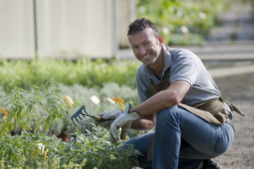 A smiling man wearing a light grey shirt, brown apron, and grey gardening gloves kneels on a well-maintained garden lawn, tending to green leafy plants with a small hand rake. In the background, there is a tidy garden area with a gravel pathway, bordered by a wooden fence, and features a variety of plants and shrubs. The scene is set outdoors on a bright day with natural sunlight illuminating the scene, reflecting a professionally maintained outdoor space suitable for gardening services in Soho and nearby areas. This landscape displays a mix of lush grass, healthy plant growth, and well-organised garden beds, demonstrating attentive outdoor maintenance relevant to sustainable gardening practices promoted by Landscapers Soho.